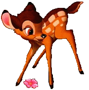 Bambi bilder