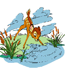 Bambi bilder