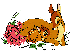 Bambi bilder