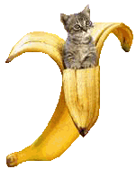 Bananen