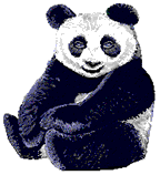 Baren panda