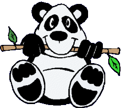 Baren panda