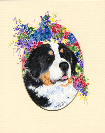 Berner sennenhunde