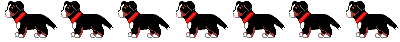 Berner sennenhunde