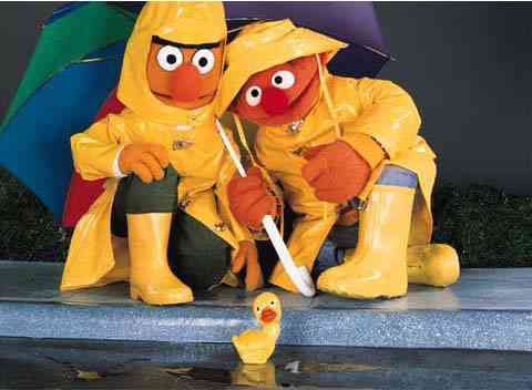 Bert und ernie bilder