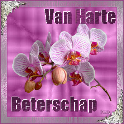 Besserung bilder