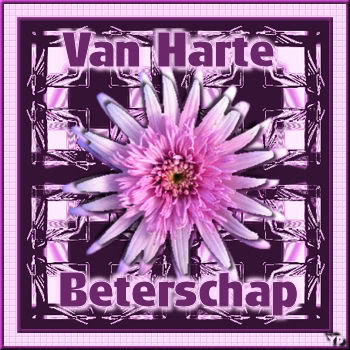 Besserung bilder