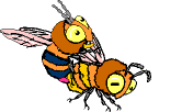 Bienen bilder
