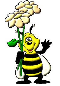 Bienen bilder