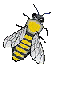 Bienen bilder