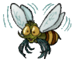 Bienen bilder