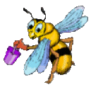 Bienen bilder
