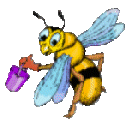 Bienen bilder