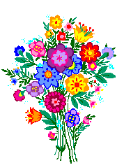 Blumen bilder