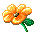 Blumen bilder