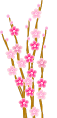 Blumen bilder