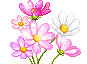 Blumen