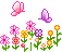 Blumen bilder