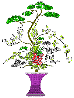 Blumen bilder