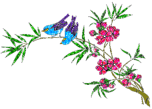Blumen bilder