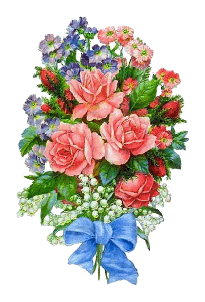 Blumen bilder