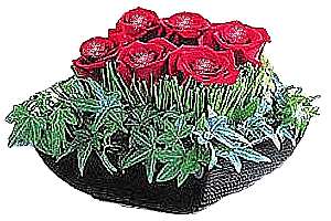 Blumen bilder