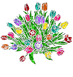 Blumen bilder