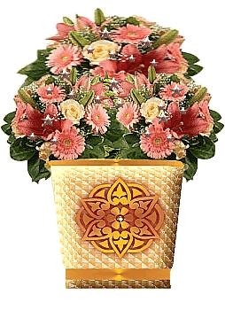 Blumen bilder