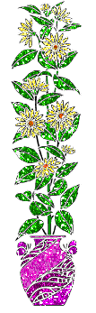Blumen bilder