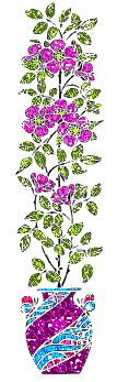 Blumen bilder