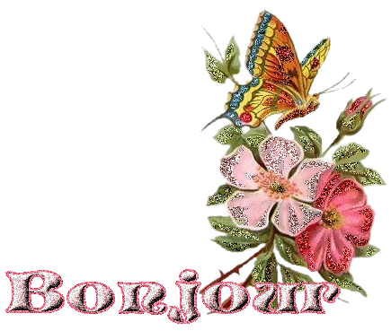 Bonjour bilder