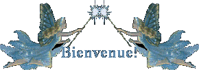Bonjour bilder