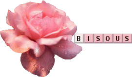 Bonjour bilder