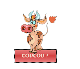 Bonjour bilder