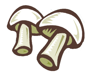 Champignons bilder