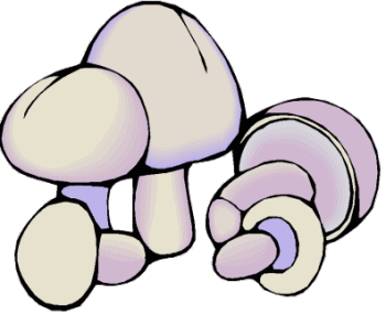 Champignons bilder