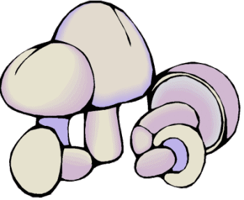 Champignons