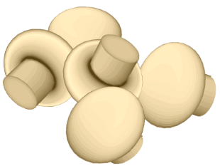 Champignons bilder