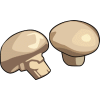 Champignons