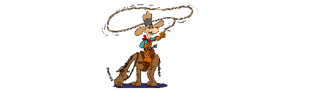 Cowboy bilder