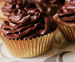 Cupcake bilder