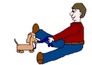 Dackel bilder