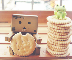 Danbo bilder