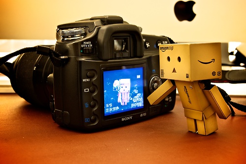 Danbo bilder