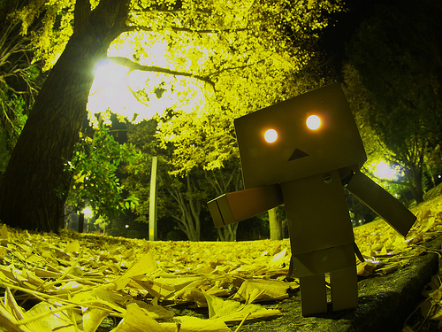 Danbo bilder