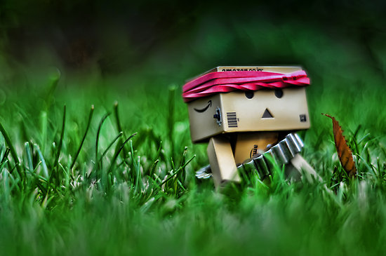 Danbo bilder