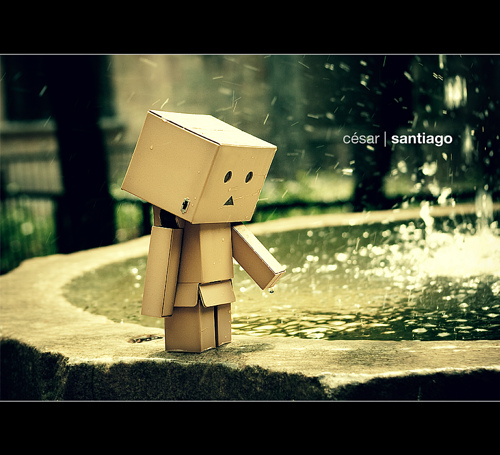 Danbo bilder