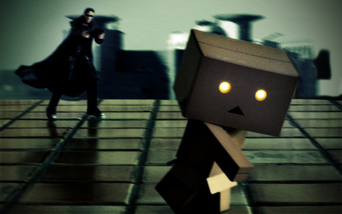 Danbo bilder