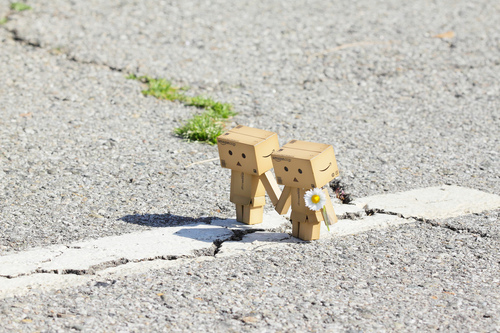 Danbo bilder