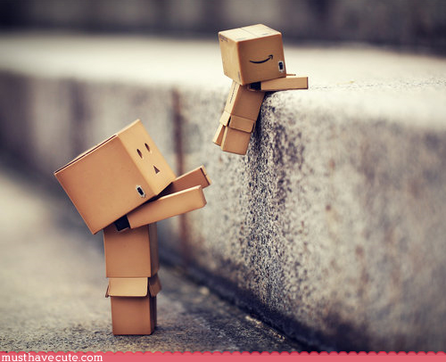 Danbo bilder